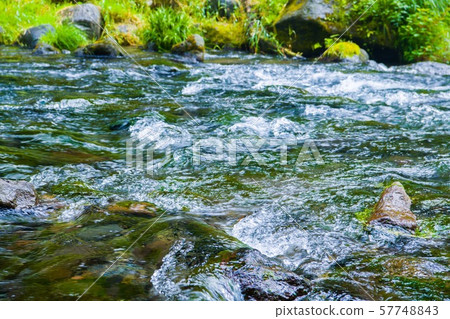 （靜岡縣藤宮市）清除 57748843