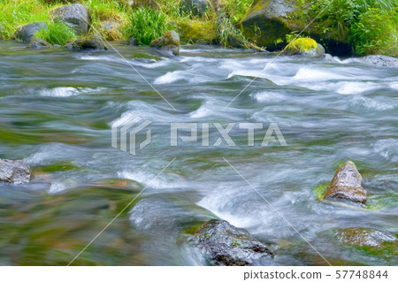 （靜岡縣藤宮市）清除 57748844