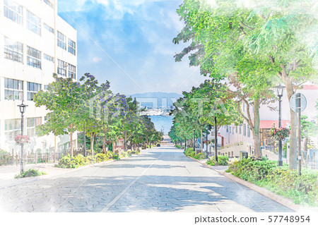 Summer in Hokkaido Scenery with slopes in Motomachi, Hakodate [Hachimanzaka] 57748954