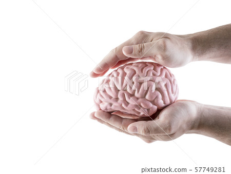 Human brain covered by hands isolated on white background Human brain covered by hands isolated on white background 57749281