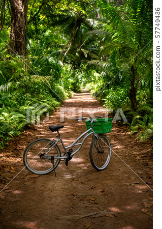 Lonely old bicycle with green becket Lonely old bicycle with green becket 57749486