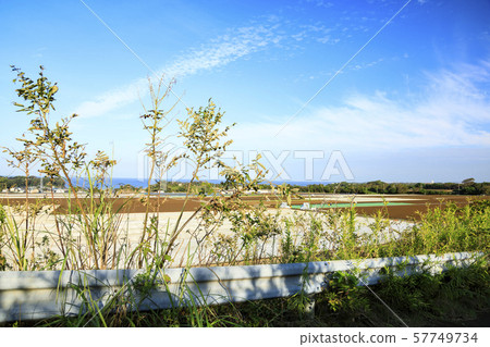 Field (autumn) 57749734