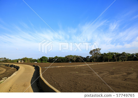 Field (autumn) 57749765