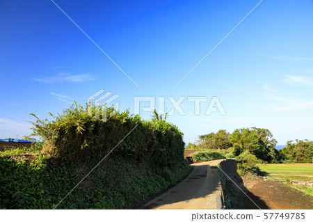 Field (autumn) Field (autumn) 57749785