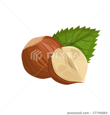 Hazelnut with leaf Hazelnut with leaf 57749869