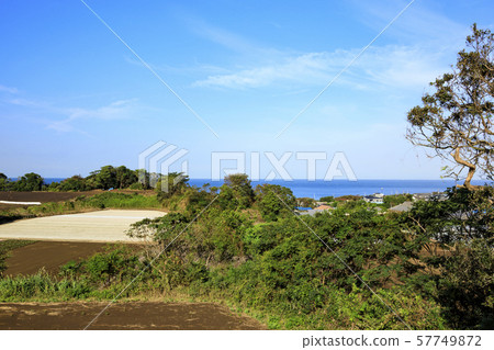 田野（秋天） 57749872