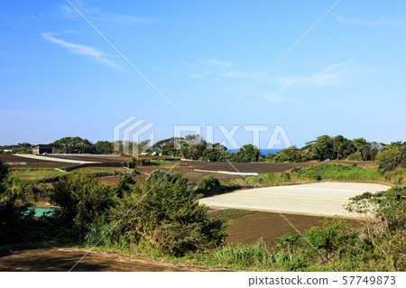 田野(秋天) 田野(秋天) 57749873