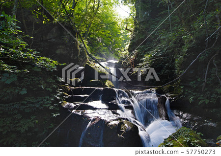 [Aomori Prefecture / Special scenic spot] Oirase mountain stream / Kanzawa flow 57750273