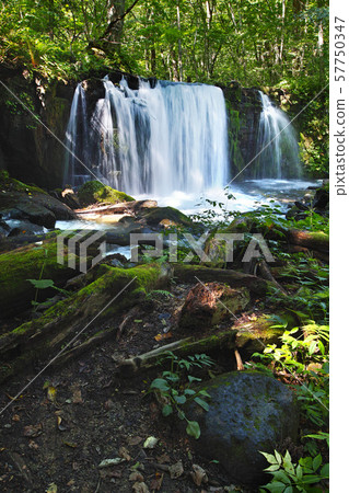 [Aomori Prefecture / Special scenic spot] Oirase mountain stream, Choshi waterfall 57750347