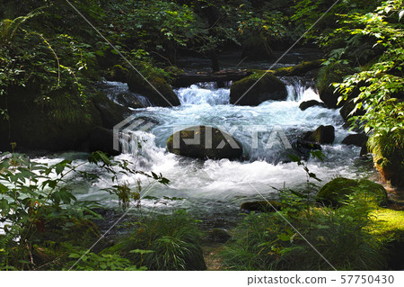 [Aomori Prefecture, special scenic spot] Oirase mountain stream, flow of Ashura 57750430