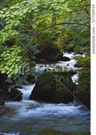 [Aomori Prefecture, special scenic spot] Oirase mountain stream, flow of Ashura 57750434