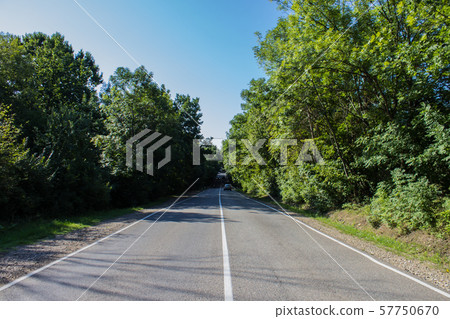 Road in a rural area with trees and blue sky Road in a rural area with trees and blue sky 57750670