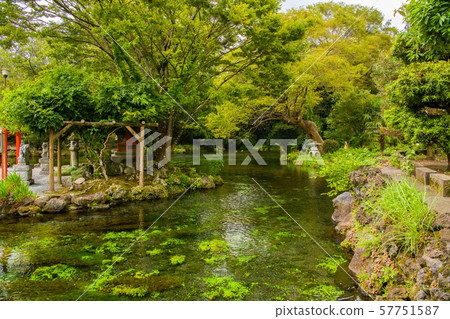在神社的池塘 在神社的池塘 57751587