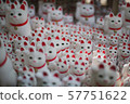 Lucky Cat 57751622