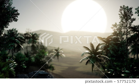 Coco palm trees tropical landscape 57752170