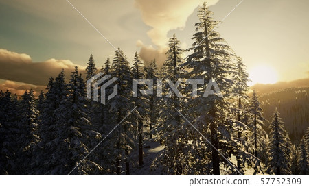 Fantastic Evening Winter Landscape 57752309