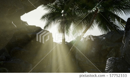 Big Palms in Stone Cave with Rays of Sunlight Big Palms in Stone Cave with Rays of Sunlight 57752333