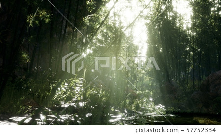 Lush green leaves of bamboo near the shore of a 57752334