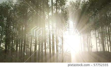 Green bamboo forest in hills Green bamboo forest in hills 57752335