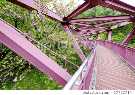 Ayabori Bridge 57752714