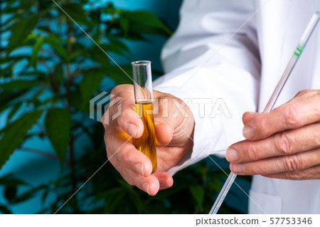 Scientist holding cannabis oil close up 57753346