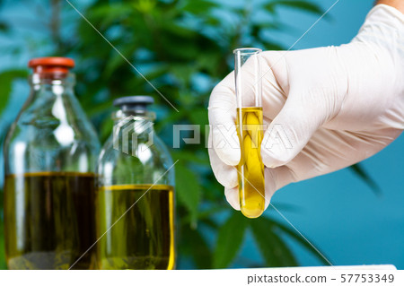 Scientist holding cannabis oil close up 57753349