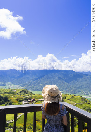 The Sixty Stone Mountain Golden Needle Flower Sea in Eastern Taiwan 57754708