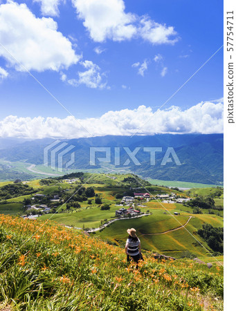 台灣東部六十石山金針花海 台灣東部六十石山金針花海 57754711