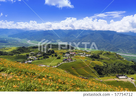 台灣東部六十石山金針花海 台灣東部六十石山金針花海 57754712