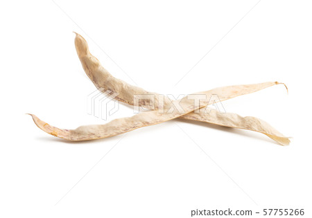 dry bean pod isolated 57755266