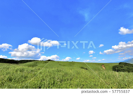 美麗的大自然和晴朗的天空 57755837