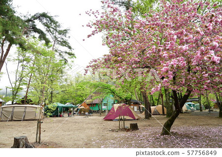 Cuore Fureai no Sato露營地(岐阜縣) Cuore Fureai no Sato露營地(岐阜縣) 57756849