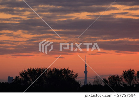 Sunrise sky tree 57757594