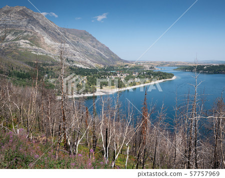 Waterton Lakes National Park, Alberta, Canada 57757969