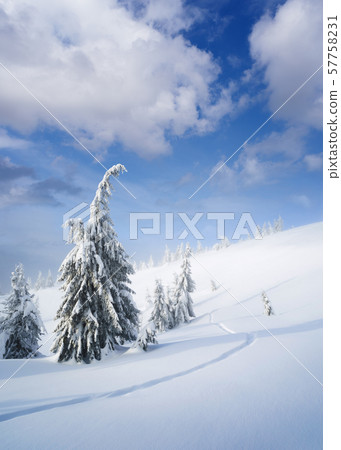 Winter wonderland with snowy mountain forest Winter wonderland with snowy mountain forest 57758231