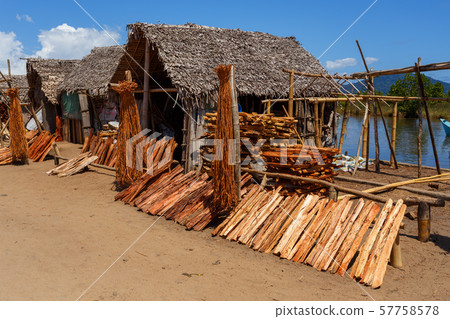drying wood behind hut, Madagascar 57758578