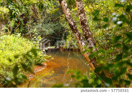 Madagascar traditional wilderness landscape Madagascar traditional wilderness landscape 57758581