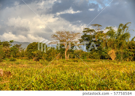 Madagascar traditional wilderness landscape Madagascar traditional wilderness landscape 57758584