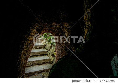 The entrance of the sacred tree 57758860