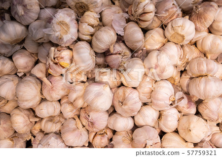 Organic white garlic in pile close-up. Spicy vegetable for salad or other dish Organic white garlic in pile close-up. Spicy vegetable for salad or other dish 57759321