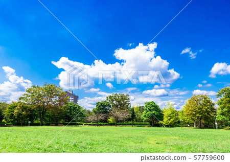 Blue sky and green park 57759600