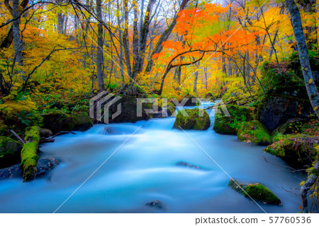 Oirase Colored leaves 57760536
