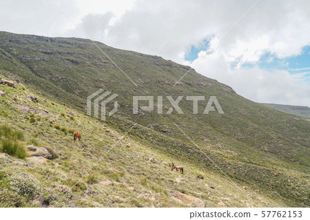 sanipass的景觀 57762153