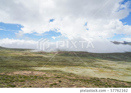 Landscape of sanipass 57762162