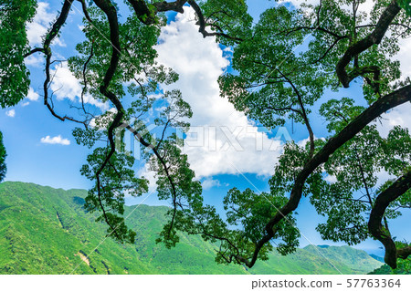 Nature of Nachiyama 57763364