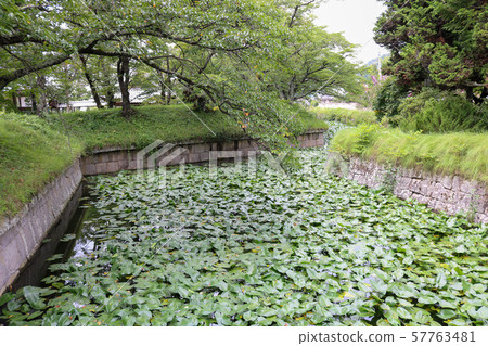 ■ Tatsuoka Castle ■ Goryokaku ■ Moat ■ Norimatsu Matsudaira ■ Saku City, Nagano Prefecture ■ Tatsuoka Castle ■ Goryokaku ■ Moat ■ Norimatsu Matsudaira ■ Saku City, Nagano Prefecture 57763481