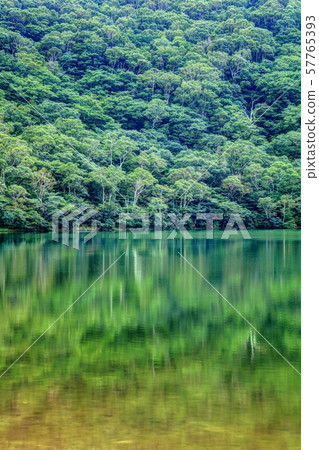 赤城小丸 57765393