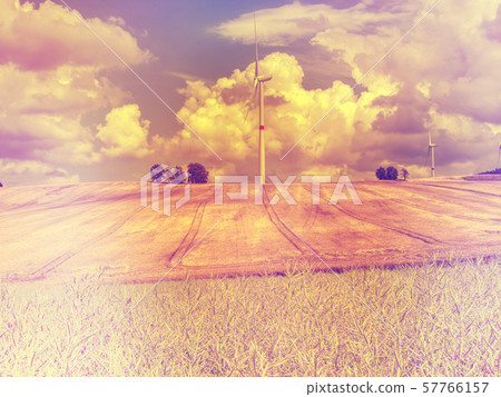 Field of Golden wheat under the blue sky and Field of Golden wheat under the blue sky and 57766157