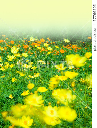 宇宙震動-2 57766205