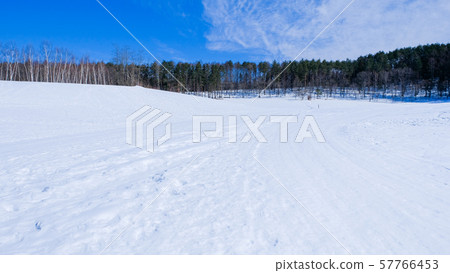 Snowy field 57766453